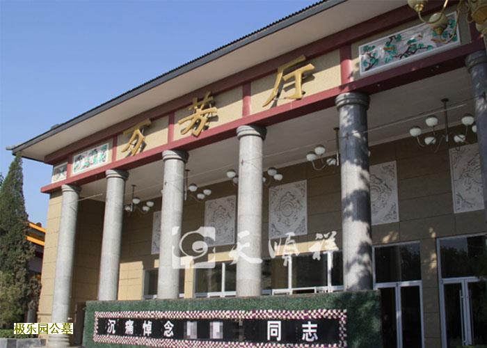 “不留碑，不留灰”节地生态葬，你怎么选？