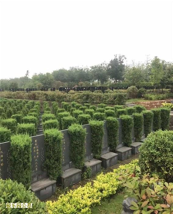 京沪殡葬界两大著名机构战略合作开新局